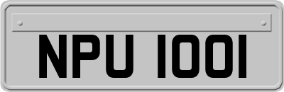NPU1001