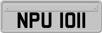NPU1011