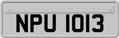 NPU1013