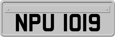 NPU1019