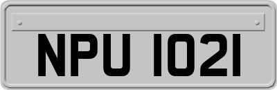 NPU1021