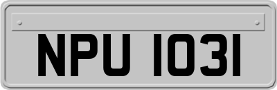 NPU1031