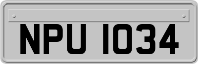 NPU1034