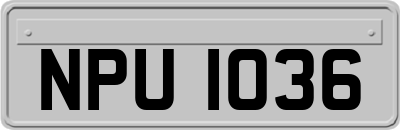 NPU1036