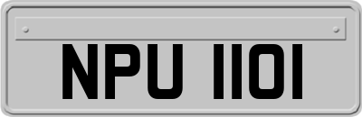 NPU1101