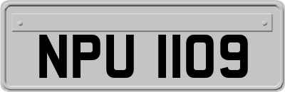 NPU1109