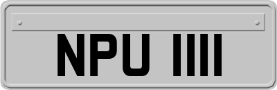 NPU1111