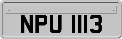 NPU1113