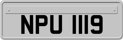 NPU1119