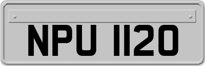 NPU1120