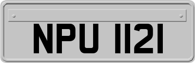 NPU1121