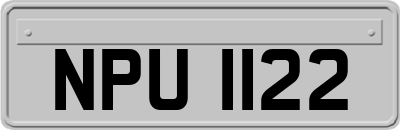 NPU1122