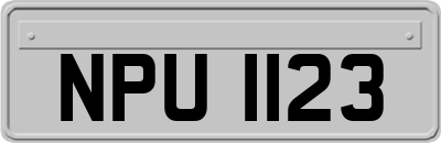 NPU1123