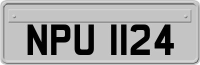 NPU1124