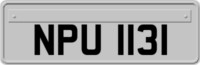 NPU1131