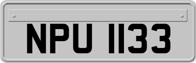 NPU1133