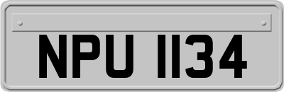 NPU1134