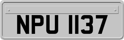 NPU1137