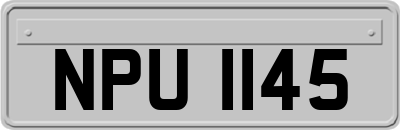 NPU1145