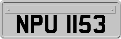 NPU1153