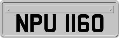 NPU1160