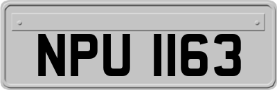NPU1163