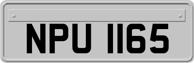 NPU1165