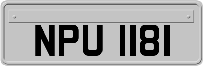 NPU1181