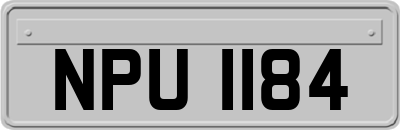 NPU1184
