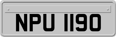 NPU1190