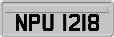 NPU1218