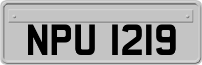 NPU1219