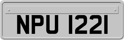 NPU1221