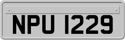 NPU1229