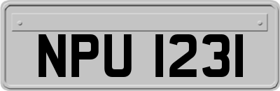 NPU1231
