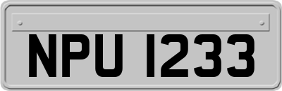 NPU1233