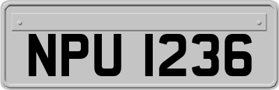 NPU1236