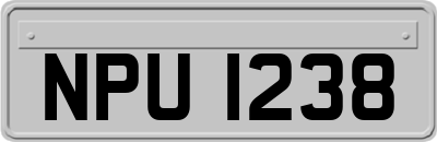 NPU1238