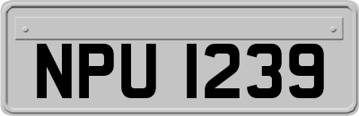 NPU1239