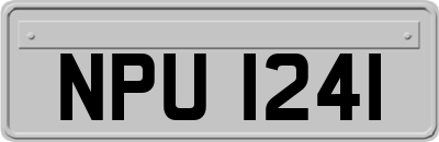 NPU1241