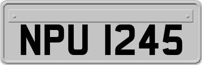 NPU1245