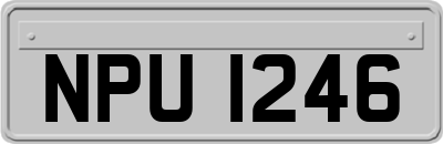 NPU1246