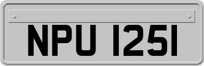 NPU1251