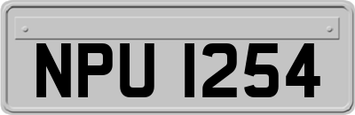NPU1254
