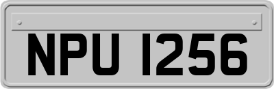 NPU1256