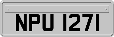 NPU1271