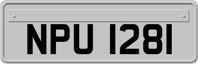 NPU1281