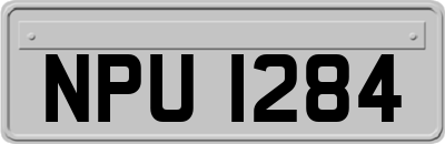 NPU1284