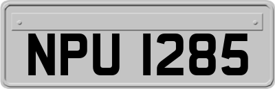 NPU1285