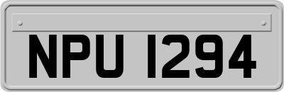NPU1294
